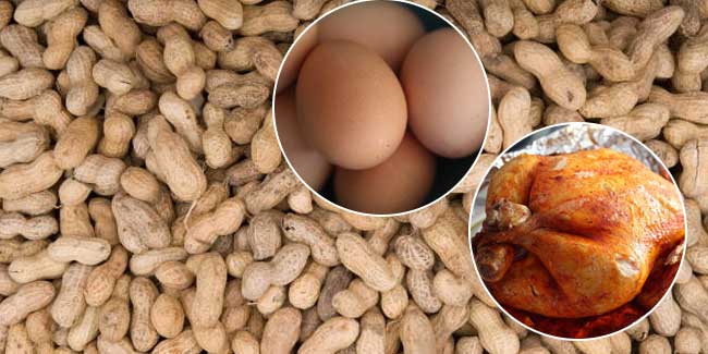प्रोटीन के मामले में चिकन, मीट और अण्डे जितनी ही शक्तिशाली है मूंगफली, तेजी से बढ़ाती है वजन