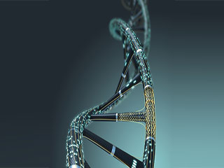  Why taking a gene test should be on the top of your health priority list for 2017!