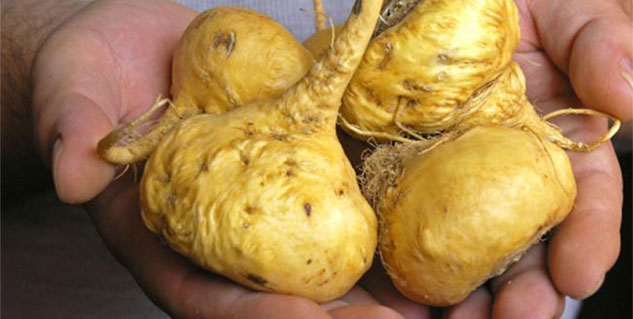 peruvian superfood