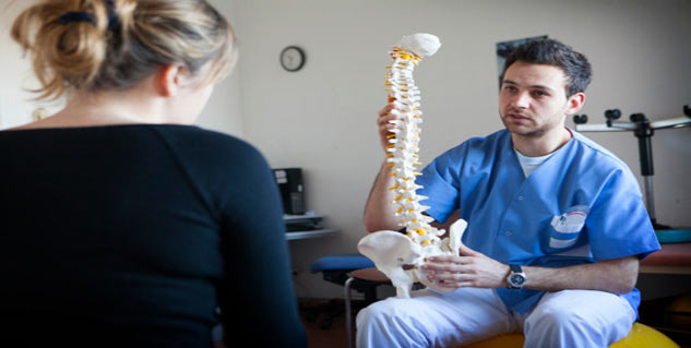 spinal cord