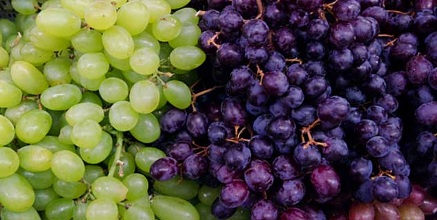 grape seeds for teeth