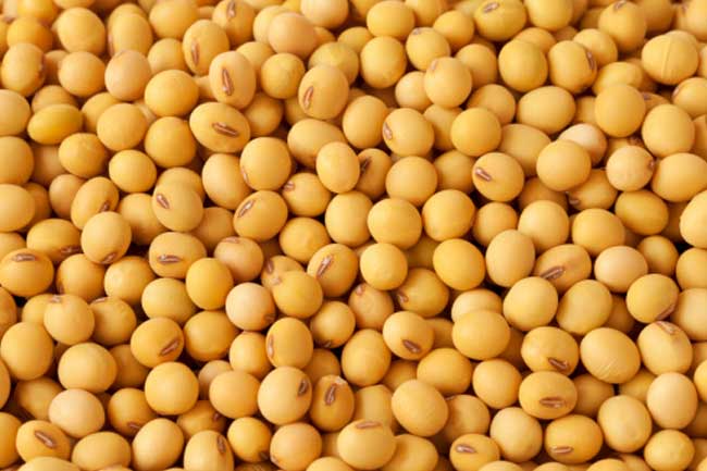 #Include Soy in your Diet to Stay Fit and Reduce your Risk of Heart Diseases #Include Soy in your Diet to Stay Fit and Reduce your Risk of Heart Diseases