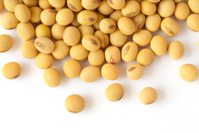 #Include Soy in your Diet to Stay Fit and Reduce your Risk of Heart Diseases #Include Soy in your Diet to Stay Fit and Reduce your Risk of Heart Diseases