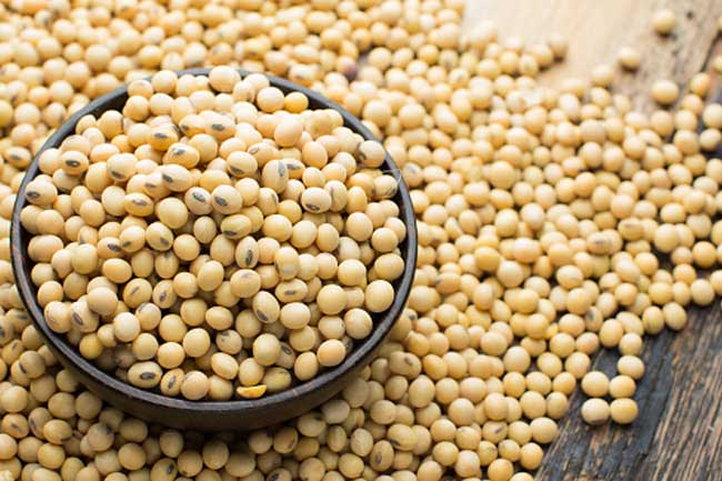 #Include Soy in your Diet to Stay Fit and Reduce your Risk of Heart Diseases #Include Soy in your Diet to Stay Fit and Reduce your Risk of Heart Diseases