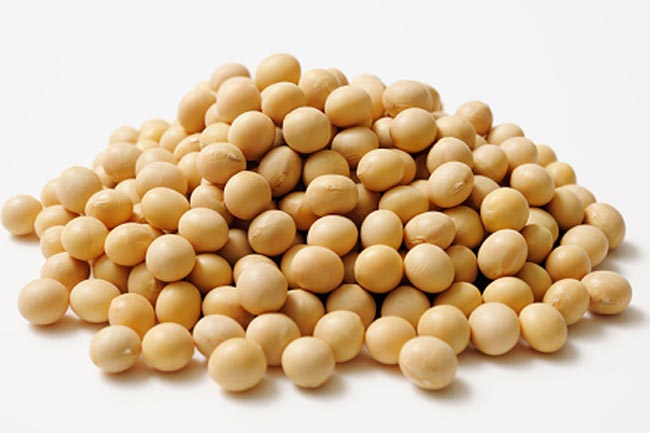 #Include Soy in your Diet to Stay Fit and Reduce your Risk of Heart Diseases #Include Soy in your Diet to Stay Fit and Reduce your Risk of Heart Diseases
