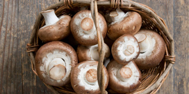Mushrooms could be the new anti-Alzheimer's superfood, believe scientists