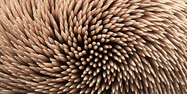 toothpick