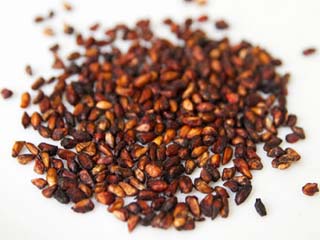 मार्केट में आया है नया सूपरफूड, जानें...