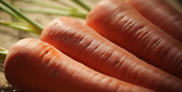 carrot