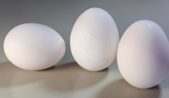 What's Healthy, Egg Yolk or Egg White?