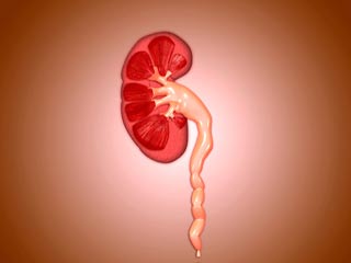 इन 6 बुरी आदतों से आपकी किडनी खराब हो सकती है