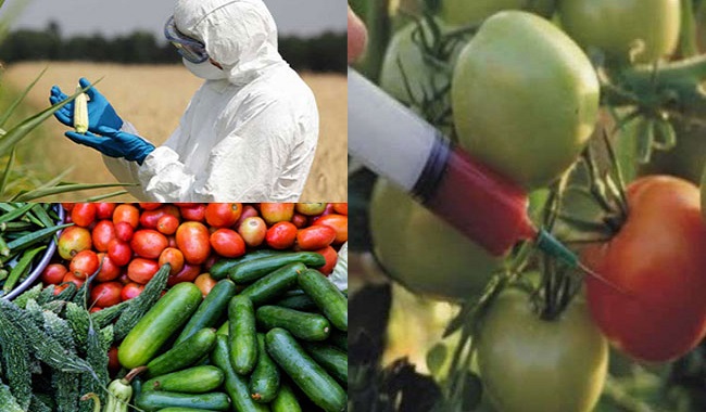 insecticides and pesticides in fruits and vegetables