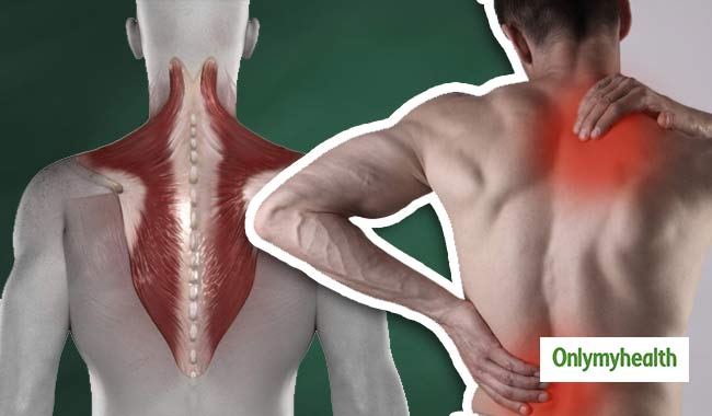 हड्डियों और लिगामेंट्स को कमजोर कर सकता है मस्क्यूलोस्केलेटल पेन