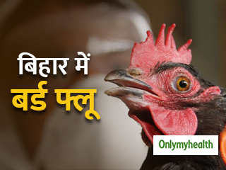 बर्ड फ्लू से बिहार में हो रही हैं कई मौत, यूपी और दिल्ली के लोग ऐसे बरतें सावधानी
