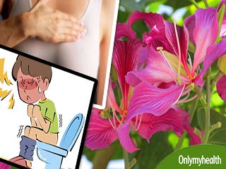 स्‍तनों की गांठ व बवासीर को जड़ से खत्‍म करता है ये 1 फूल 