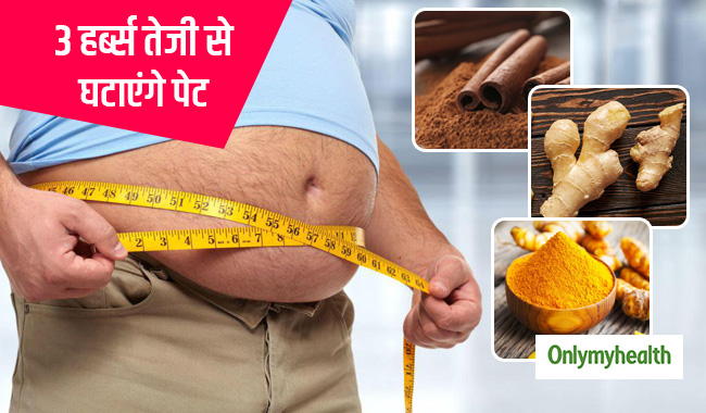 फैट बर्न करने में मददगार हैं ये 3 हर्ब्स, तेजी से होगा पेट अंदर