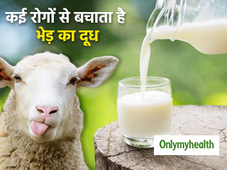 ब्लड प्रेशर और कई बीमारियों को कंट्रोल करता है भेड़ का दूध, जानें फायदे
