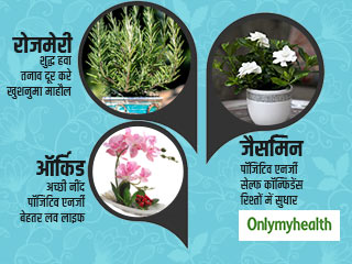 घर में लगाएं ये 7 पौधे, पॉजिटिव एनर्जी और खुशनुमा माहौल के साथ मिलेंगे कई फायदे