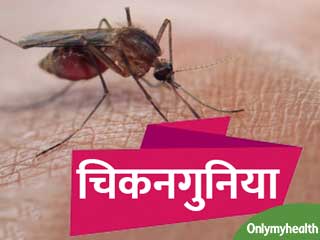 अब चिकनगुनिया से मिलेगी तुरंत निजात, आईआईटी के छात्रों ने बनाई दवा