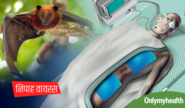 सावधान : 24 घंटे के अंदर कोमा में भेज सकता है 'निपाह' वायरस, जानें लक्षण और बचाव