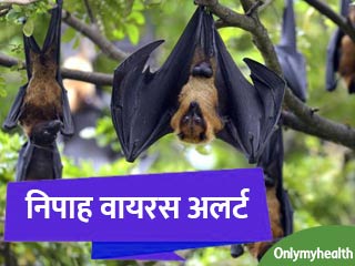 निपाह वायरस से निपटने के लिए मलेशिया से आई दवा, ऐसे किया जाएगा इलाज 
