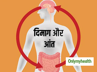 'दूसरा दिमाग' क्यों कहा जाता है आंतों को, आपको पता होने चाहिए ये 6 फैक्ट्स