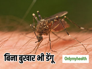 बुखार के बिना भी हो सकता है डेंगू, डॉक्टरों के अनुसार नजरअंदाज न करें ये लक्षण
