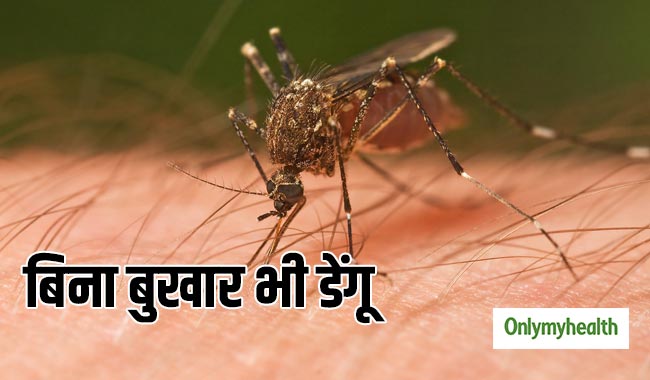 बुखार के बिना भी हो सकता है डेंगू, डॉक्टरों के अनुसार नजरअंदाज न करें ये लक्षण