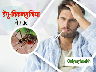 कैसे पहचानें कि आपका बुखार डेंगू है या चिकनगुनिया? जानें लक्षण