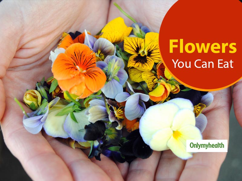 5 Edible Flowers And Their Incredible Health Benefits