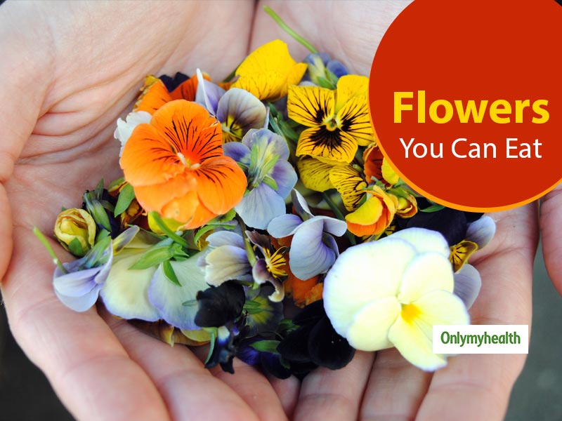 5 Edible Flowers And Their Incredible Health Benefits OnlyMyHealth