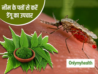 Dengue Fever Prevention: डेंगू बुखार में फायदेमंद हैं नीम के पत्‍ते का बना काढ़ा, जानें सेवन का तरीका 