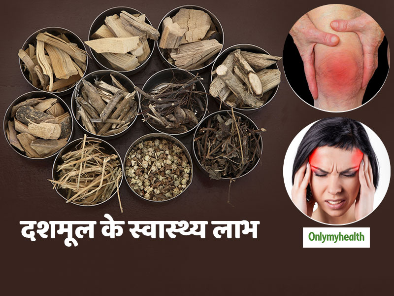 Dashamoola Herbs: माइग्रेन और गठिया के दर्द से तुरंत छुटकारा दिलाती हैं ये 10 जड़ी-बूटियां