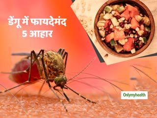 Dengue Diet: डेंगू होने पर डाइट में शामिल करें ये 5 चीजें, बढ़ेंगे प्लेटलेट्स और जल्द मिलेगा आराम