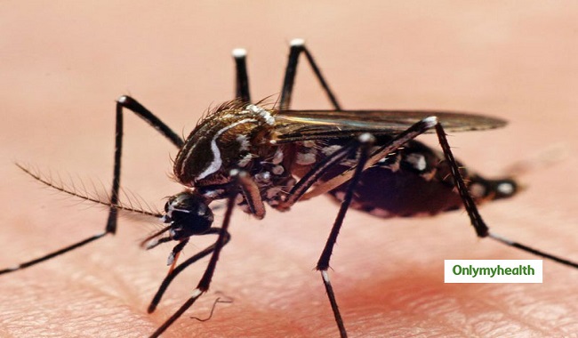 types-of-dengue-fever-and-symptoms-of-each-onlymyhealth