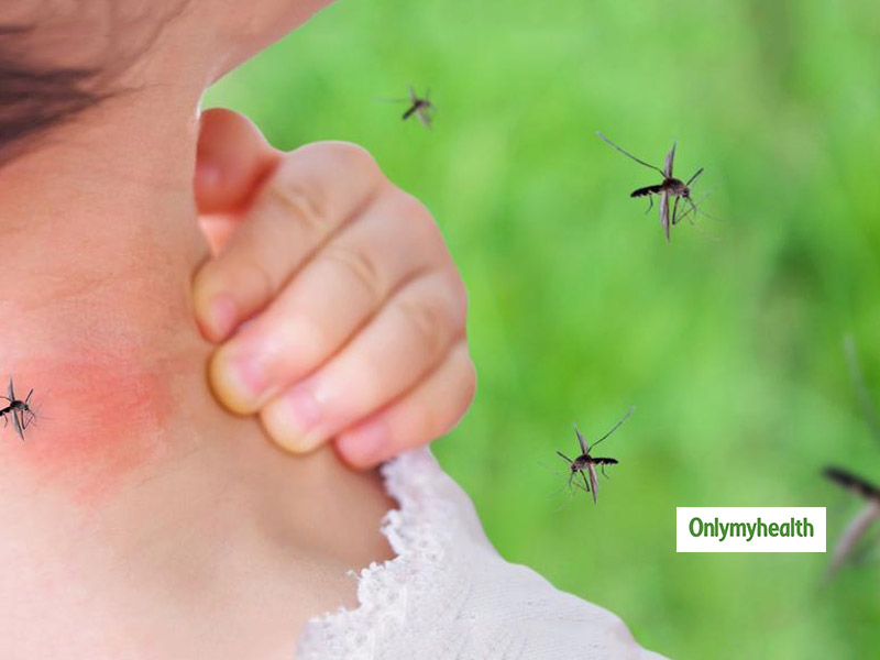 'O' ब्‍लड ग्रुप वालों को ज्‍यादा काटते हैं मलेरिया-मच्‍छर, डार्क कलर के कपड़े और पसीने से होते हैं आकर्षित