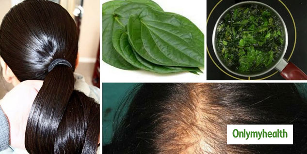 Tulsi Leaves For Hair Get Rid Of Frizz and Dandruff In Just 3