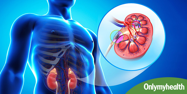 Kidney-diseases