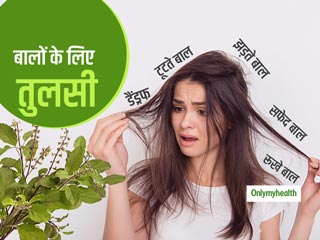 बालों की समस्याओं में फायदेमंद हैं तुलसी की पत्तियां, झड़ते, सफेद और रूखे बालों को करेंगी 3 वॉश में ठीक