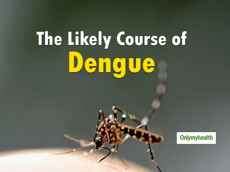 Here’s All You Need To Know About Prognosis Of Dengue Fever 