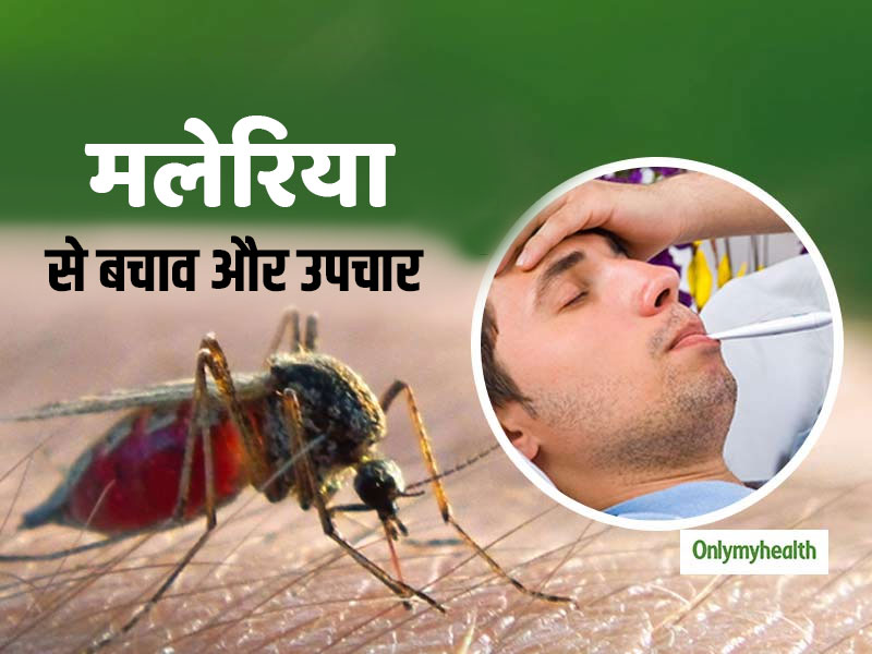 Malaria Fever: बारिश में शाम के समय काटते हैं मलेरिया के मच्‍छर, तेज बुखार और सिरदर्द है इसके संकेत