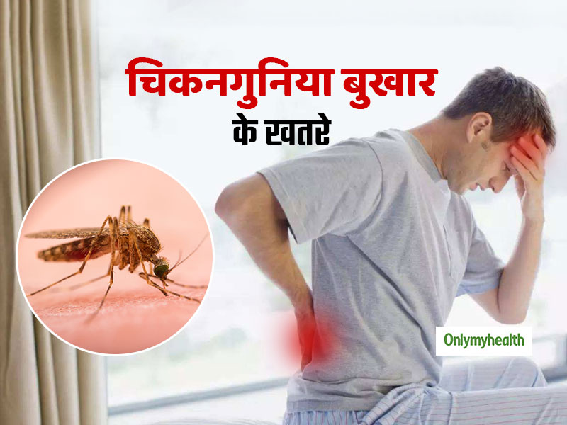 इलाज के बाद भी परेशान करते हैं चिकनगुनिया के कुछ लक्षण, ठीक होने में लगते हैं कई साल