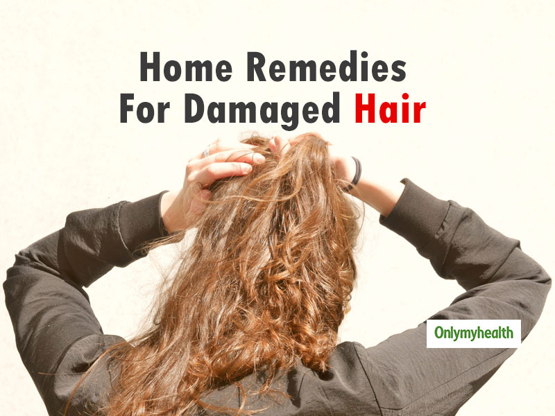 Control Dry Hair By Using These 8 Home Remedies  PharmEasy Blog