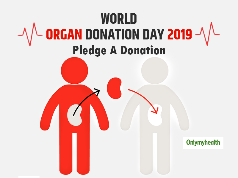 World Organ Donation Day 2019: Declared Brain Dead, Families Can Pledge Organs For Donation 