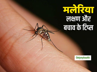 World Malaria Day 2020: जानें मलेरिया से बचाव के टिप्स, बुखार आने पर कैसे करें इसका उपचार