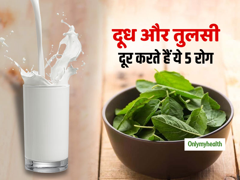 तुलसी के पत्ते दूध में उबालकर पीने से दूर होती हैं ये 5 बीमारियां, जानें कब और कैसे पीने से मिलेगा फायदा