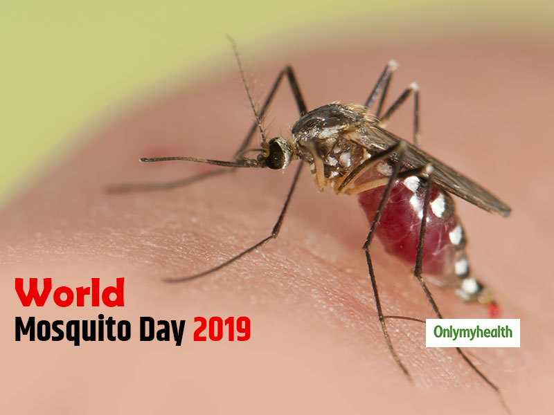 World Mosquito Day 2019: Know The Causes Of Malaria? 