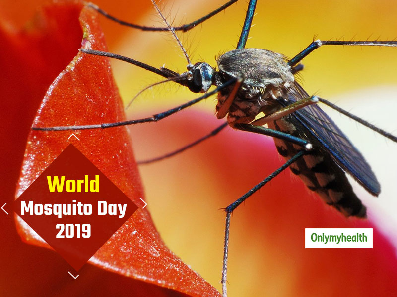 World Mosquito Day 2019: Signs And Symptoms of Cerebral Malaria