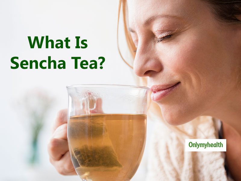 Sencha Tea The Japanese Green Tea With Excellent Benefits Onlymyhealth 