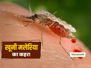 Malaria Fever: खूनी मलेरिया की चपेट में कानपुर शहर! अस्‍पतालों में बढ़े मरीज, जानें इससे बचाव के उपाय 